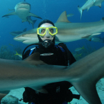 dave-with-sharks